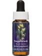 Flower Essence Services, Sagebrush Dropper, 0.25 fl oz Online now