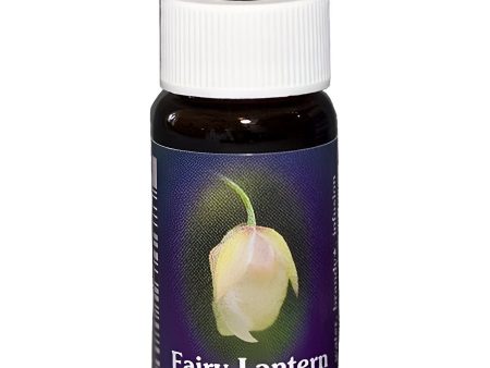 Flower Essence Services, Fairy Lantern Dropper, 0.25 fl oz For Discount