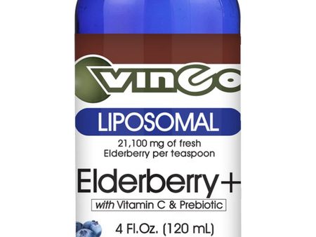 Vinco, Liposomal Elderberry+ with Vitamin C & Prebiotic, 4 fl oz Online