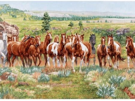 Wild and Free Horses Running panel 24x44 inches Fashion